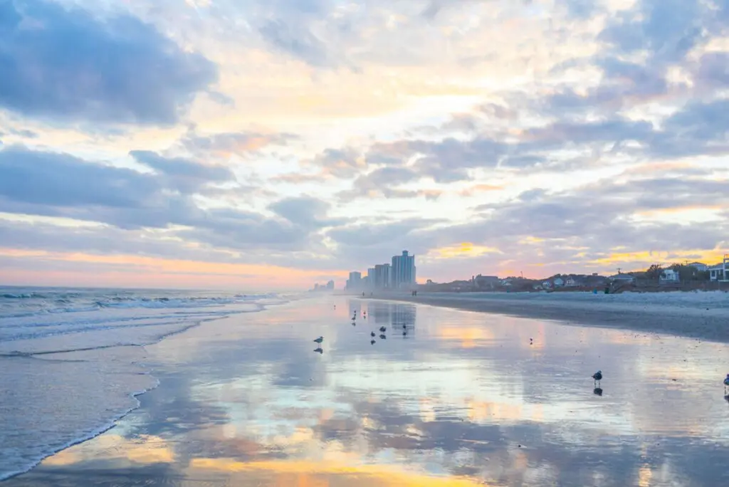 00c5ef4a 9ff6 48c3 b951 fb09aeda51e5.jpg