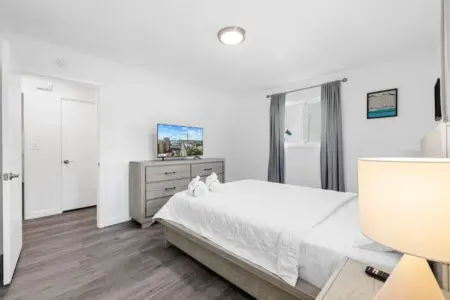 0291a9ed 8a32 4f97 bafa b0a2a7e64638.jpg