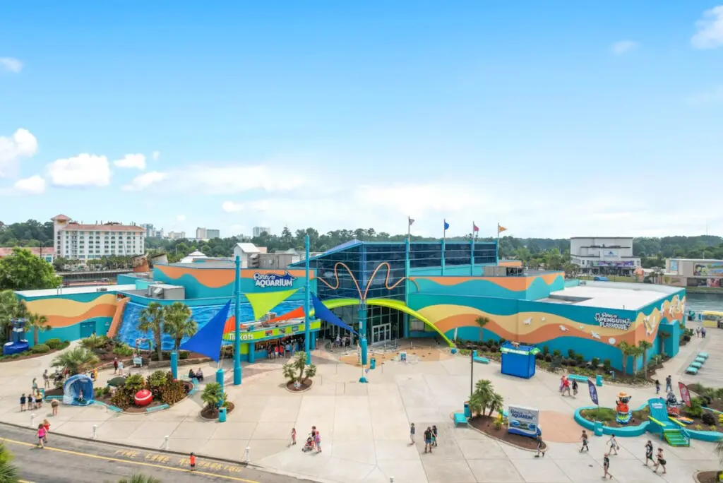 0fe56417 fc0c 4f05 b124 bfedea760117.jpg