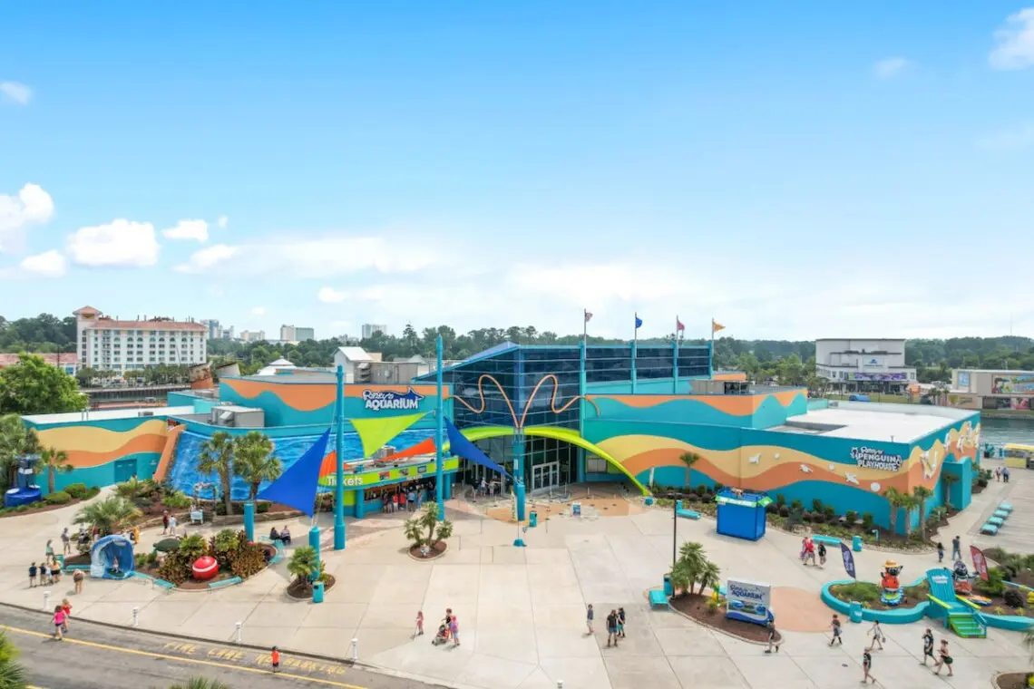 0fe56417 fc0c 4f05 b124 bfedea760117.jpg