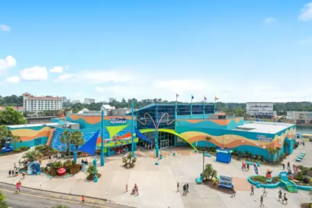 0fe56417 fc0c 4f05 b124 bfedea760117.jpg