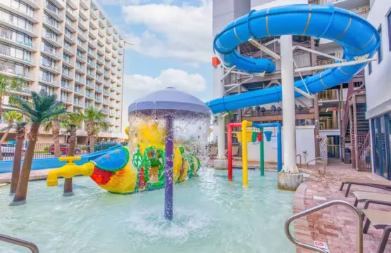 1008d40c 52dd 44fb a222 8889ba6b2a2d.jpg