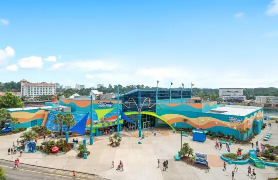 13de9816 ade9 44cc 94b6 9b1fffe805b8.jpg