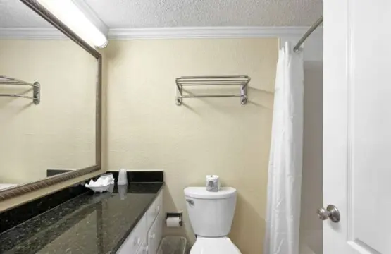 1fd34ce1 43e6 41a9 8d36 4c9a70b19a01.jpg