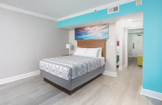 22114903 e900 4a92 86a8 7227db7dd5a2.jpg