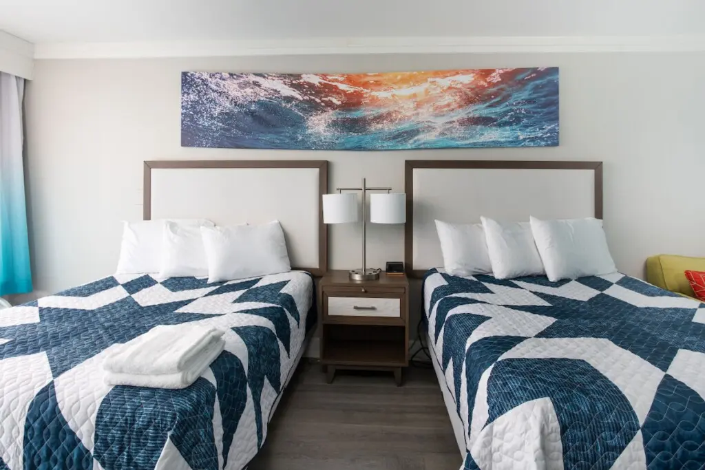 2e4f9826 f2a3 41cd a06e 2b682ec89e28.jpg