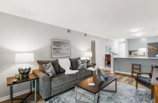 2f10b92d f3b5 45de 8d21 bc29a66436f7.jpg