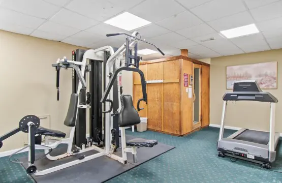 397c0e80 2d87 4431 8da8 1a7d9e0b6ab5.jpg