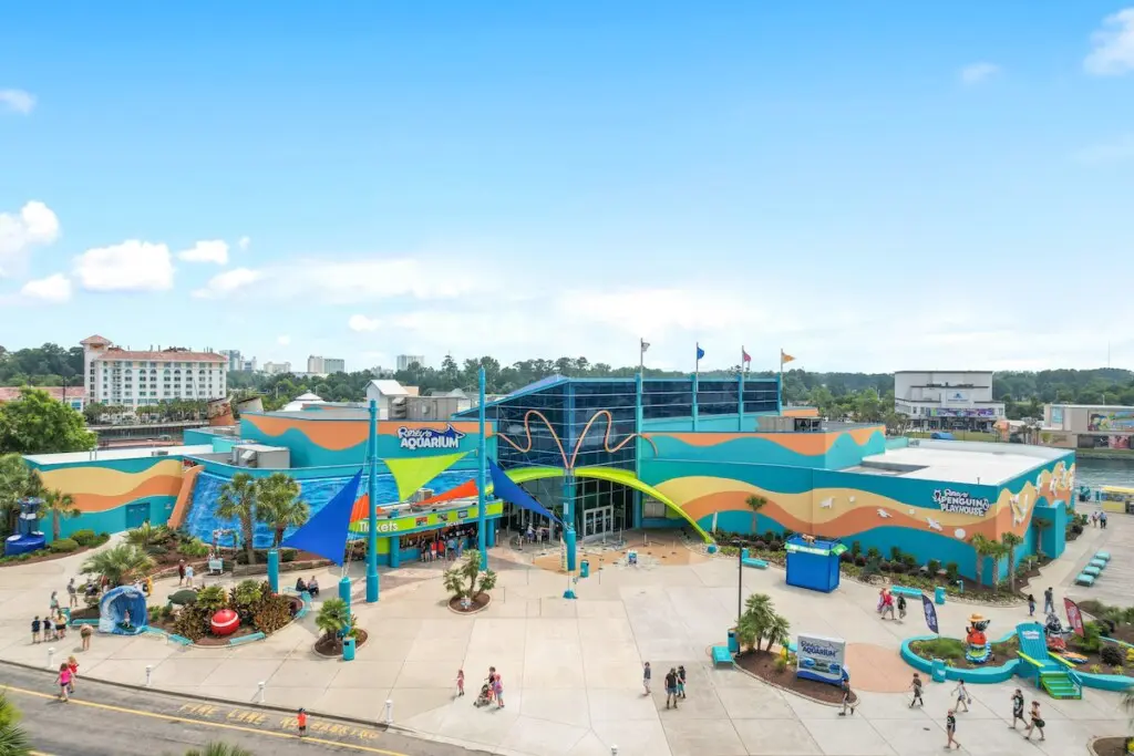 45520aa3 711f 45d1 8b72 69ecdefc4098.jpg