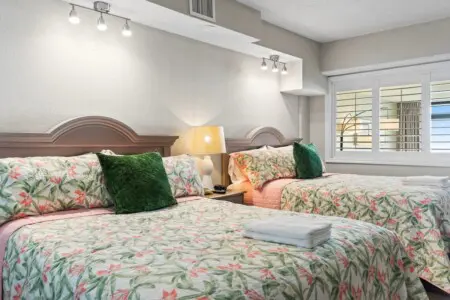 55d5a7c1 c921 4b64 b9a3 c30cfef1a0cd.jpg