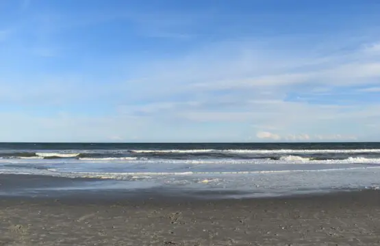 5acd31de 6fa5 43b4 b1c1 9292f81e0515.jpg