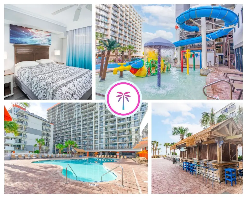 5c9404ae 9c4d 4df3 8445 c5ef341d8df2.jpg