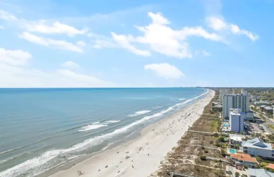 86bdc5ba f31a 4dc9 a7b5 fbadb375ab5d.jpg