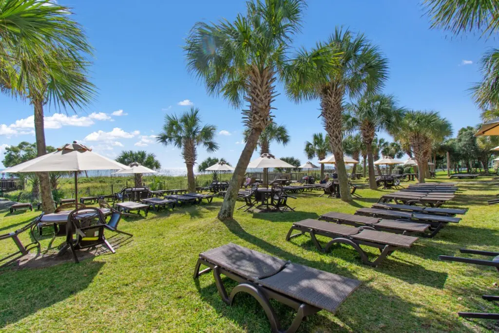 88f77951 0137 4727 a5cd 3b4c99bf57c4.jpg