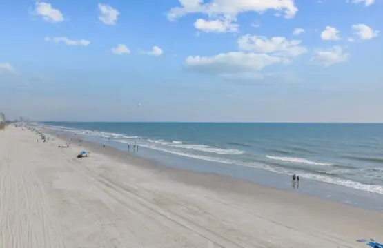 8b11148d 4af0 4eb7 abf5 b344b6dc5059.jpg