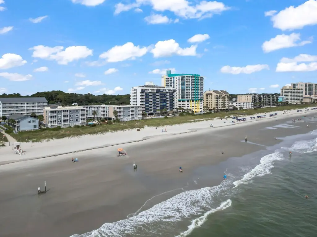 9d324104 c828 411d ab85 78fc0df06791.jpg