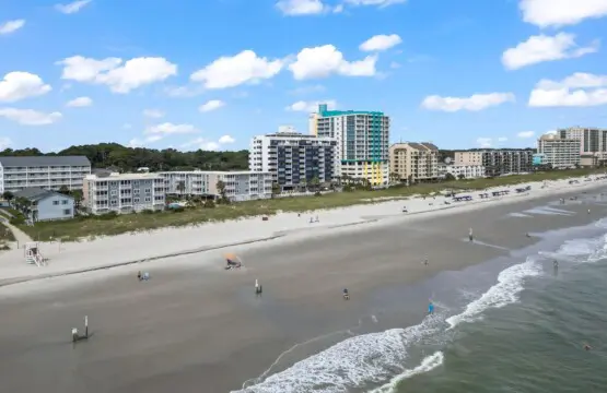 9d324104 c828 411d ab85 78fc0df06791.jpg