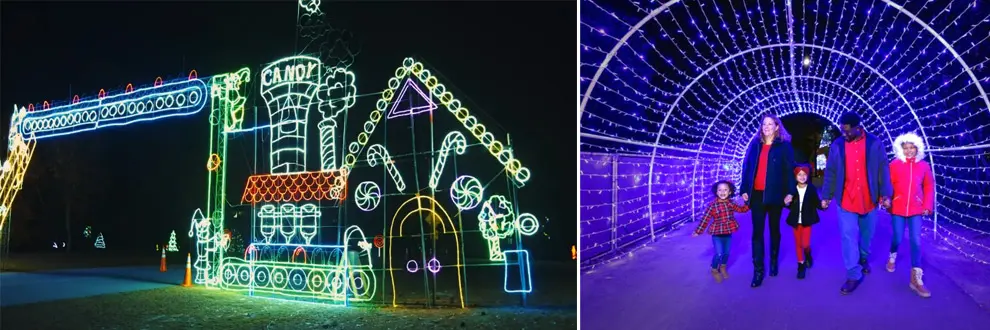 Christmas Light Show