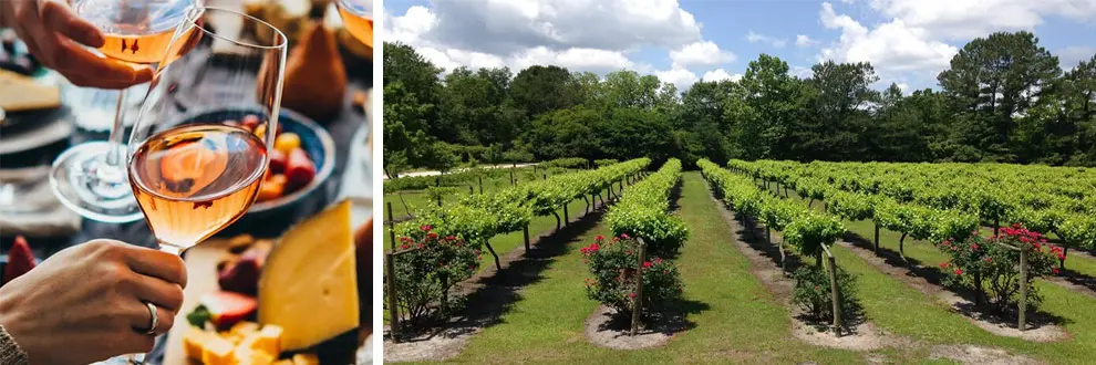 La Belle Amie Vineyard