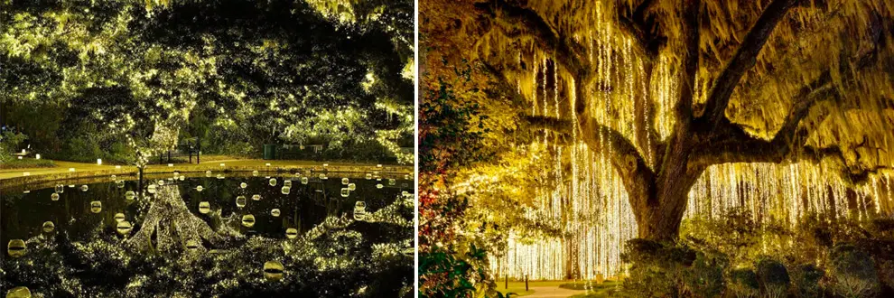 Night of a Thousand Candles