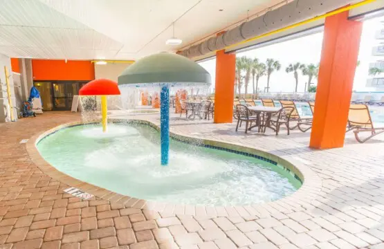 a55ffbac 8a68 41d5 941a ce4b4ab6893f.jpg