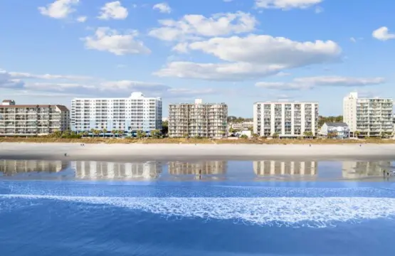 a9252c65 669e 4b24 a5e0 b2b9436e4798.jpg