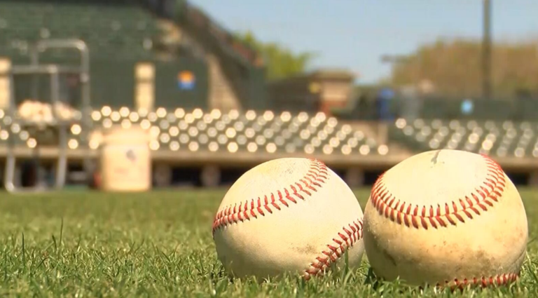 Pelicans Baseball This Season