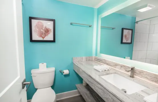 ca0d7681 a14e 4fee 9f62 4257fb6d849e.jpg