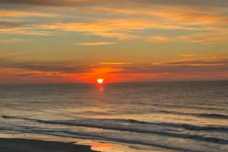 d98c93ad ed18 4c37 8162 4cecd2b9104f.jpg