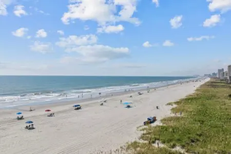 e73c1a37 db66 4c5c ba55 35511cb522c1.jpg