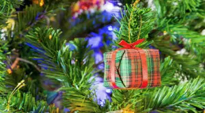 Discover North Myrtle Beach’s Holiday Magic