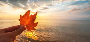 Fall Weather And Hurricane Season