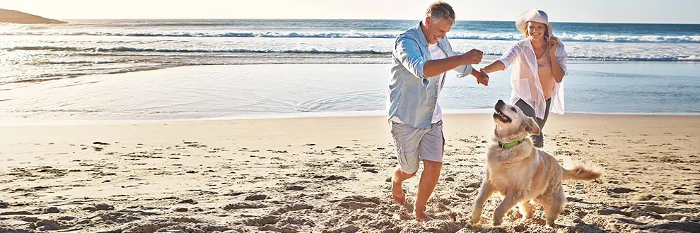 pet friendly mybeach rentals