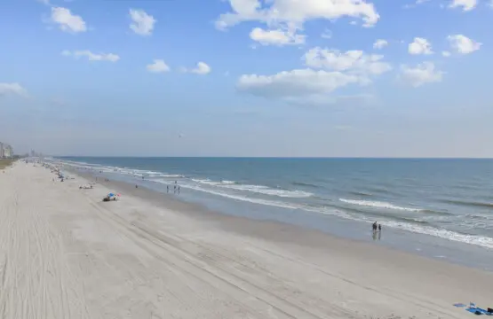 51 web or mls 36 print full 36 hqj8nr.png.jpg