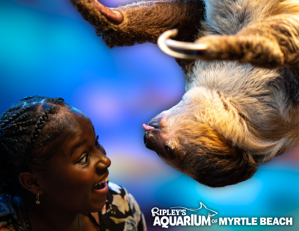 ripleys aquarium myrtle beach