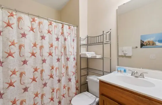 c0144e9d 0258 4c7c 98dc 289fa429e5f9.jpg