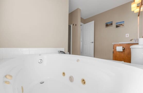 08cab42d dddc 4ae3 a6d0 aaccfd842f07.jpg