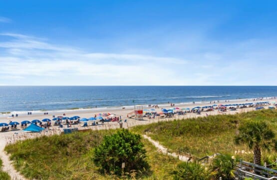 321af5f5 7fdb 4f21 af43 b66948b1cb8e.jpg