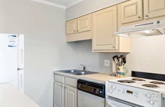 40c4cad2 b218 4fb6 bc57 47d6d5c522ad.jpg
