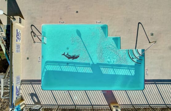4800northoceanblvd806 29 pkukhg.png.jpg