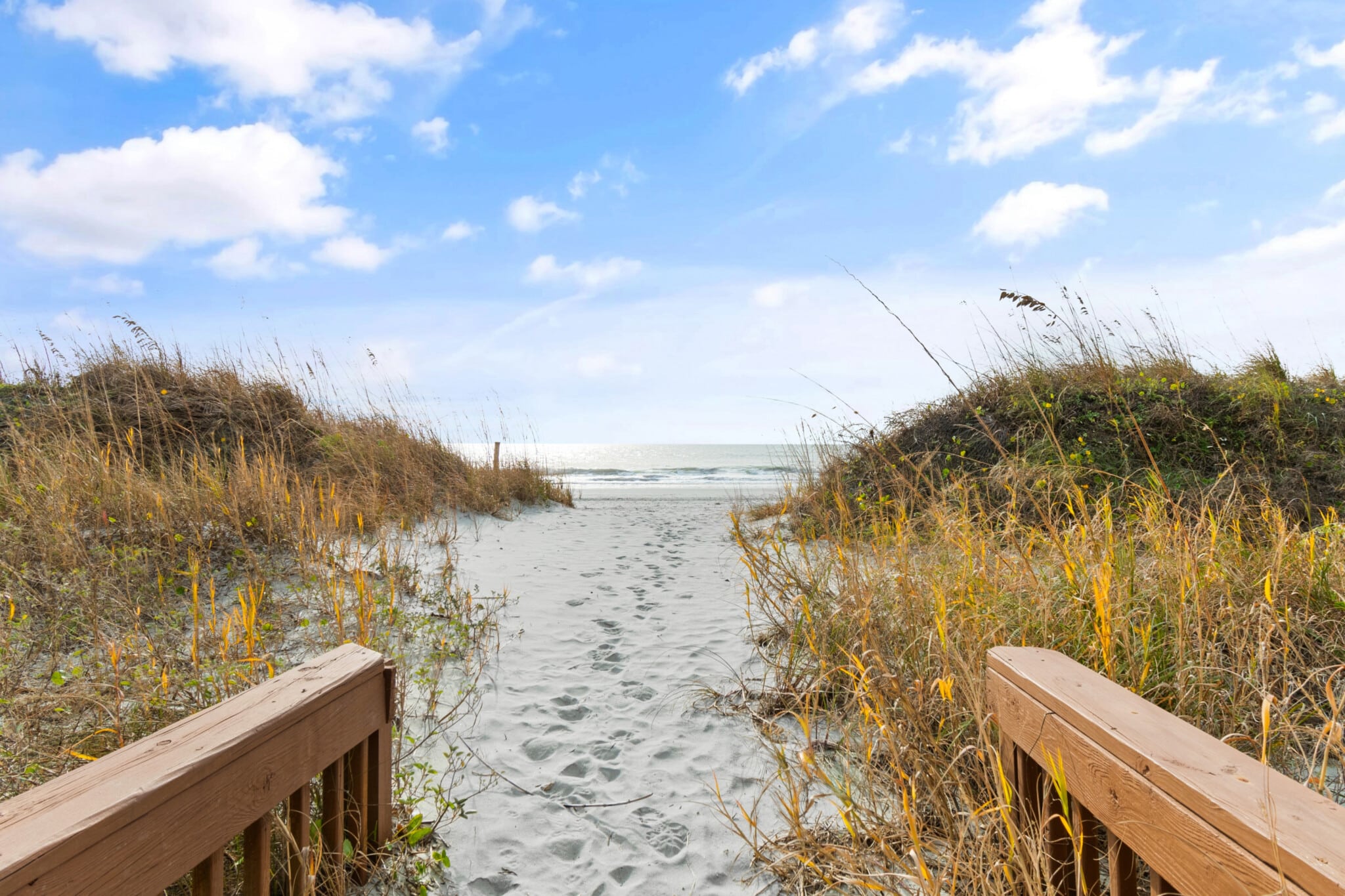 4800SOceanBlvd619 39 l3lpkp.png.jpg